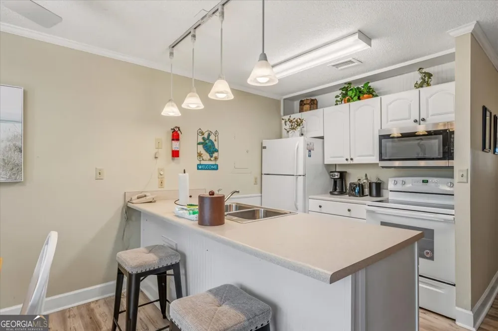1175 N Beachview DR Jekyll Island, GA 31527