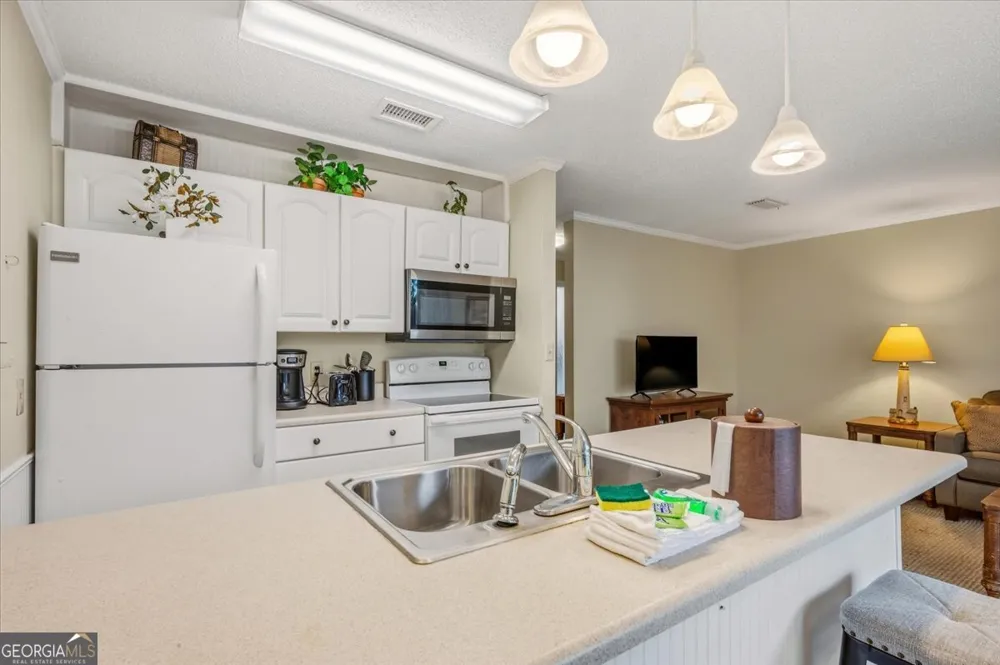 1175 N Beachview DR Jekyll Island, GA 31527