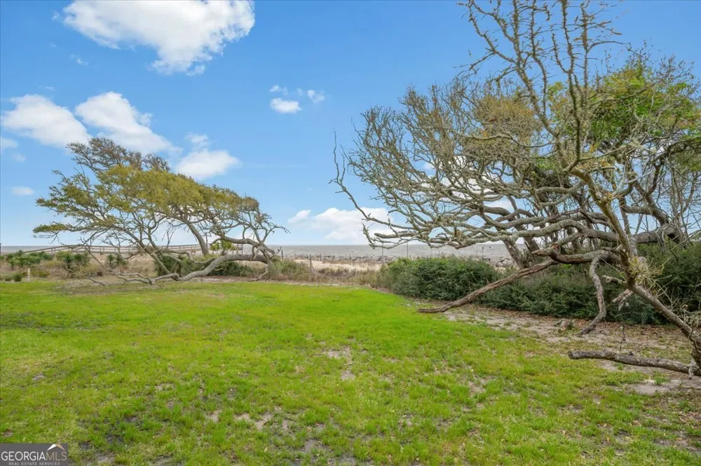 1175 N Beachview DR Jekyll Island, GA 31527