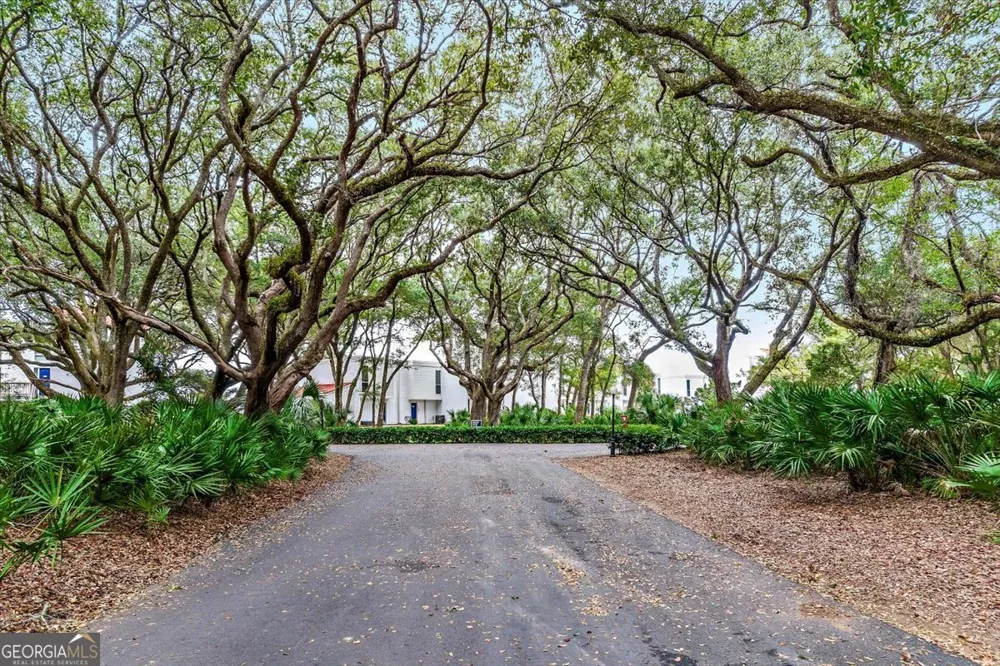 1175 N Beachview DR Jekyll Island, GA 31527