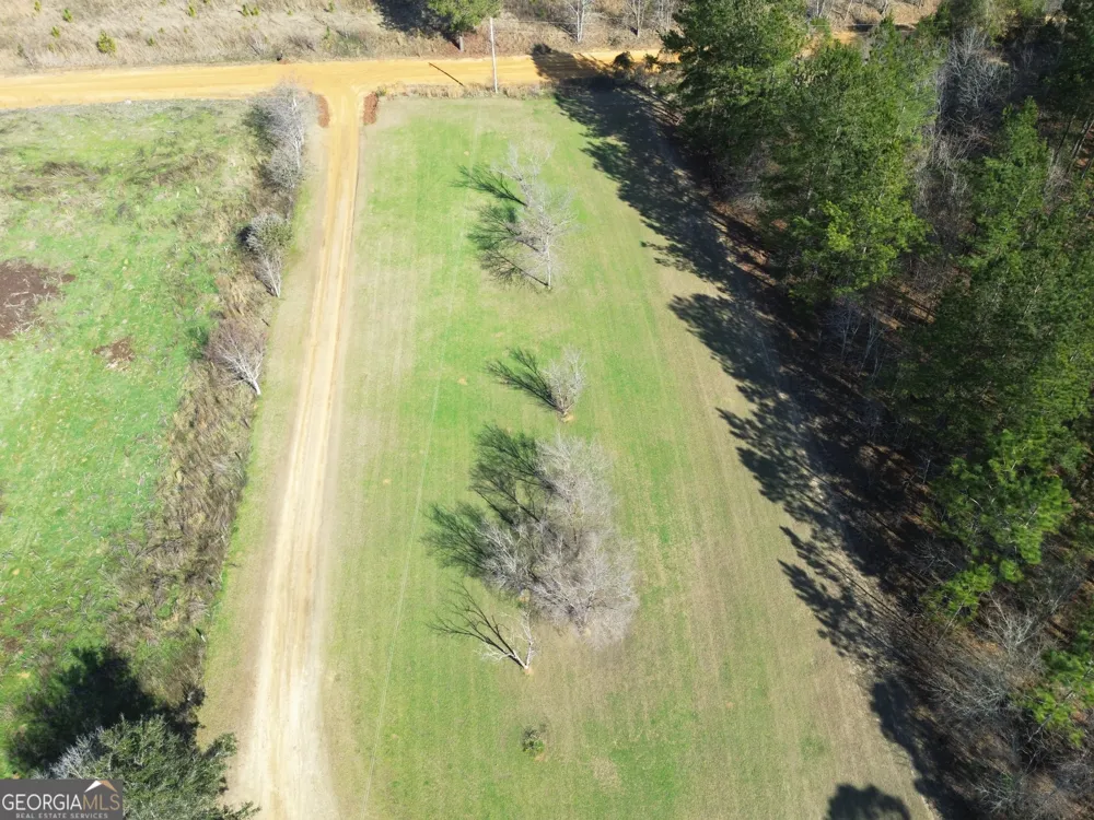 184 Eagle PASS Swainsboro, GA 30401