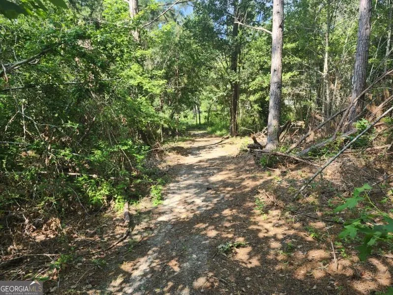 184 Eagle PASS Swainsboro, GA 30401