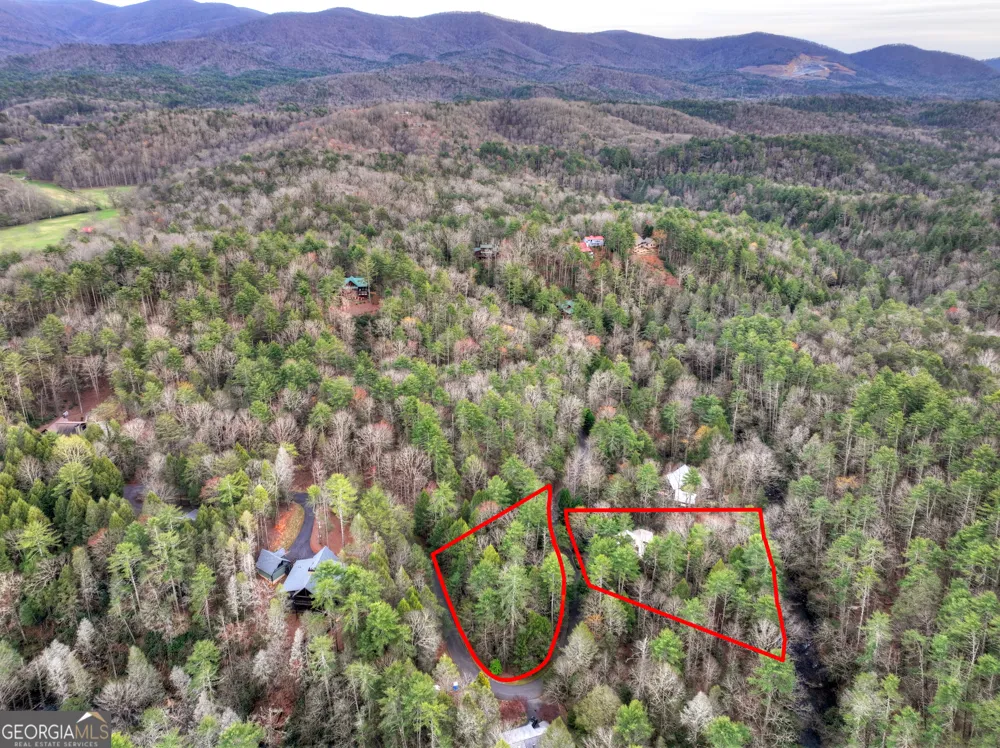 266 River RD Cherry Log, GA 30522