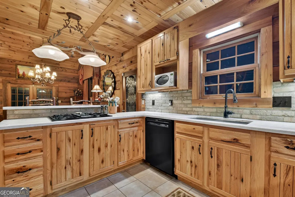 266 River RD Cherry Log, GA 30522