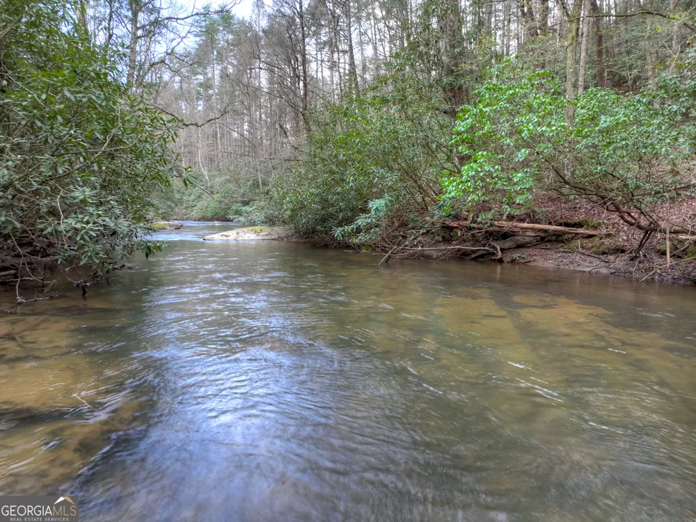 266 River RD Cherry Log, GA 30522