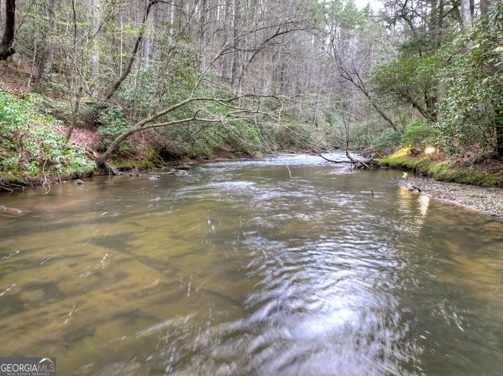 266 River RD Cherry Log, GA 30522