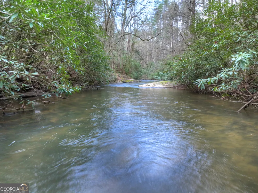 266 River RD Cherry Log, GA 30522