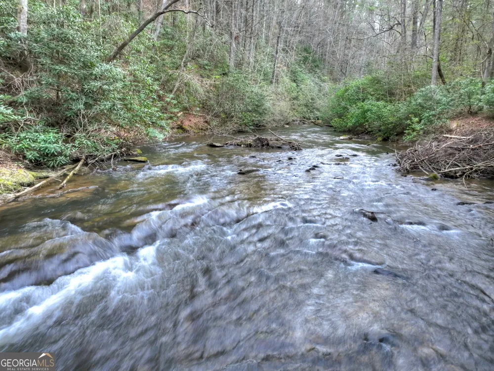 266 River RD Cherry Log, GA 30522