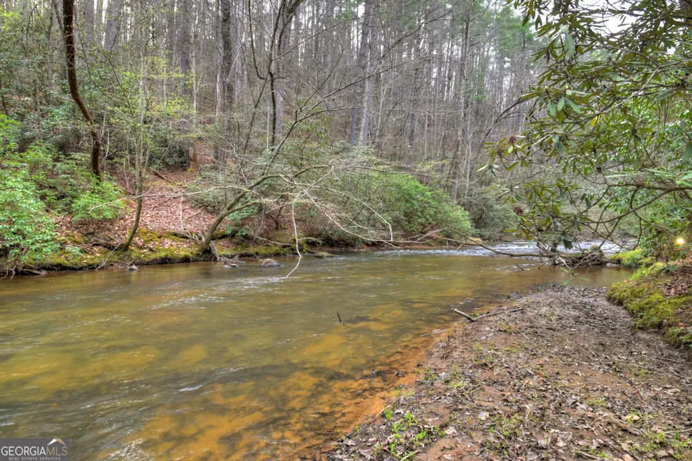 266 River RD Cherry Log, GA 30522