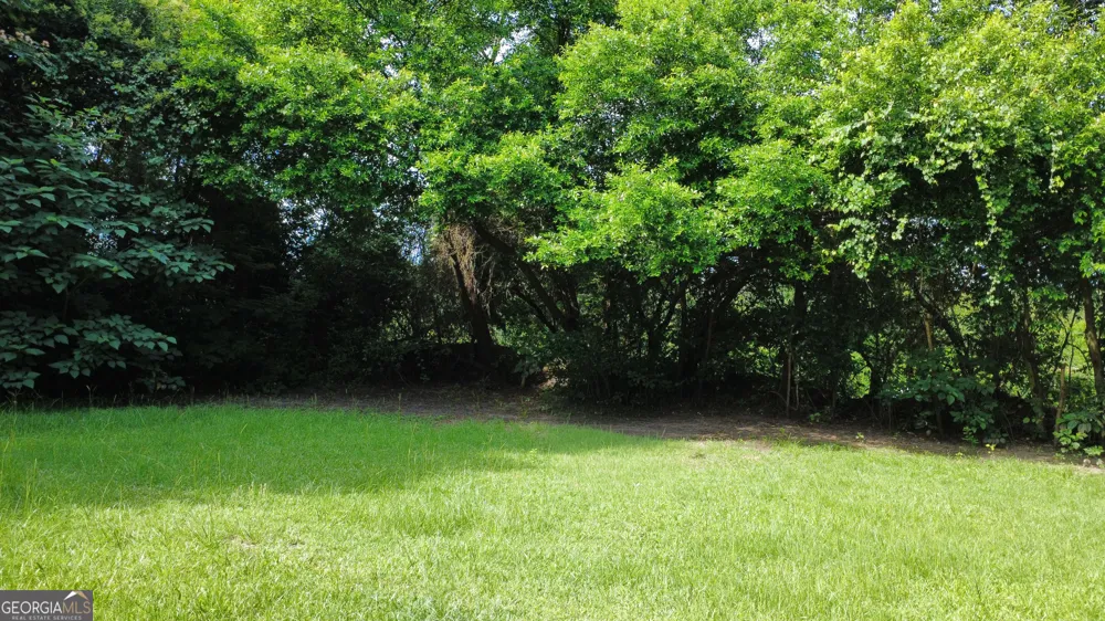 502 Kaigler ST Oglethorpe, GA 31068