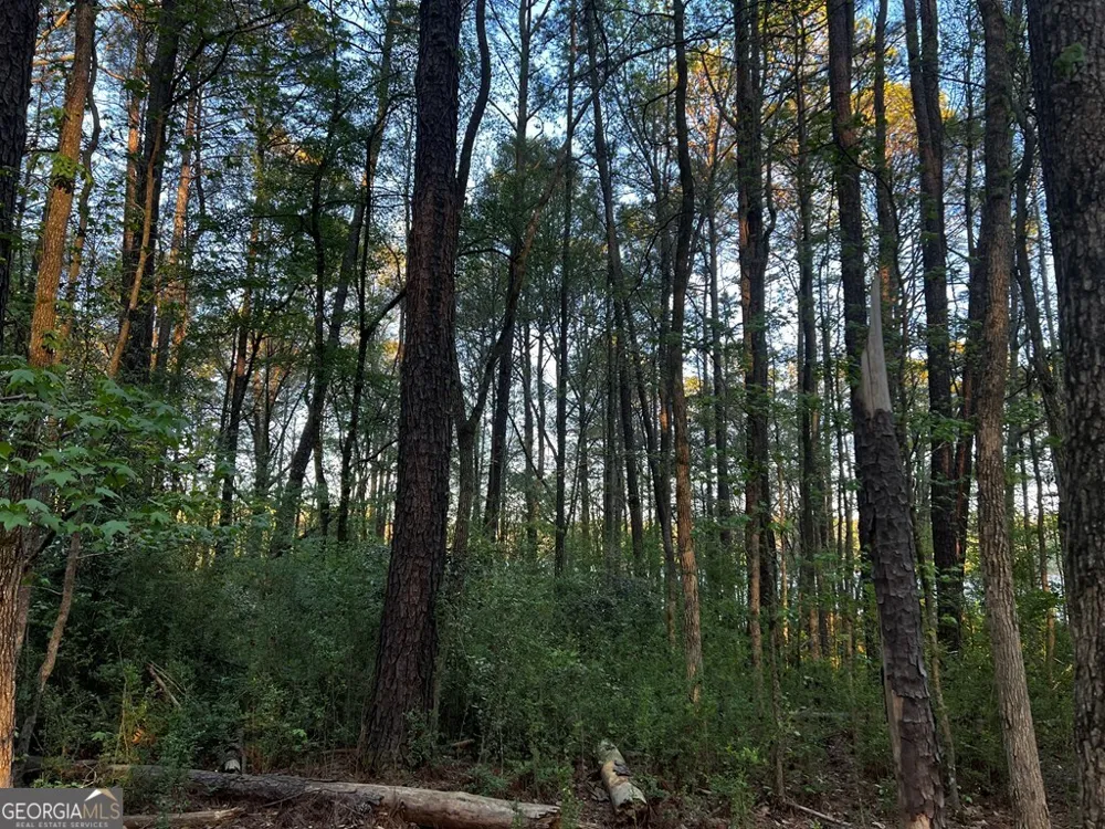 203 View Pointe LN LaGrange, GA 30241
