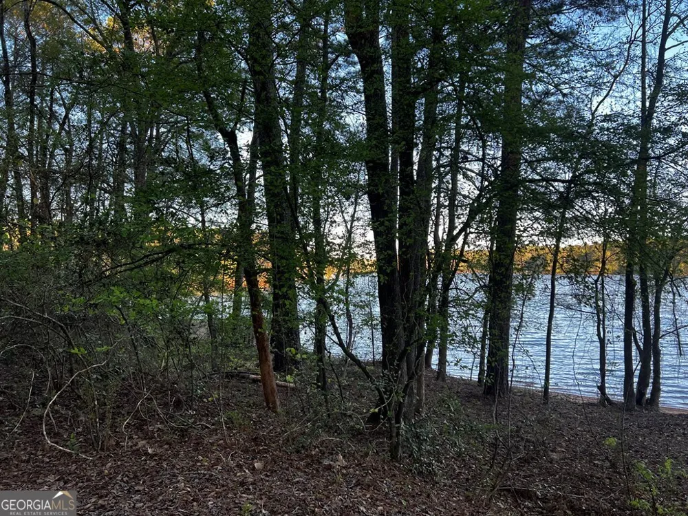 203 View Pointe LN LaGrange, GA 30241