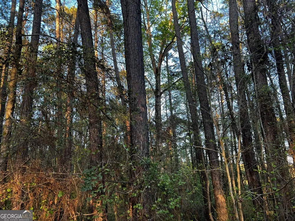 203 View Pointe LN LaGrange, GA 30241