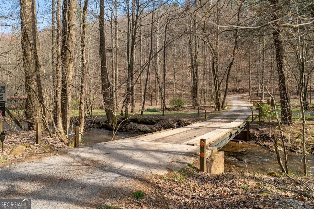 881 Fox Mountain RD Cherry Log, GA 30522