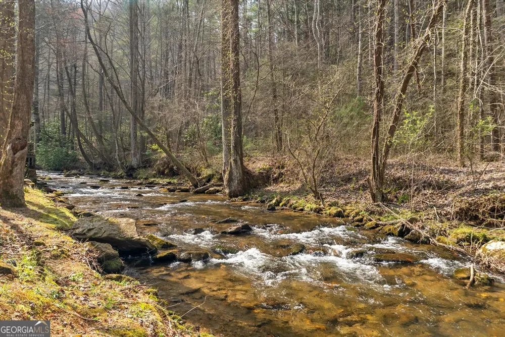 881 Fox Mountain RD Cherry Log, GA 30522