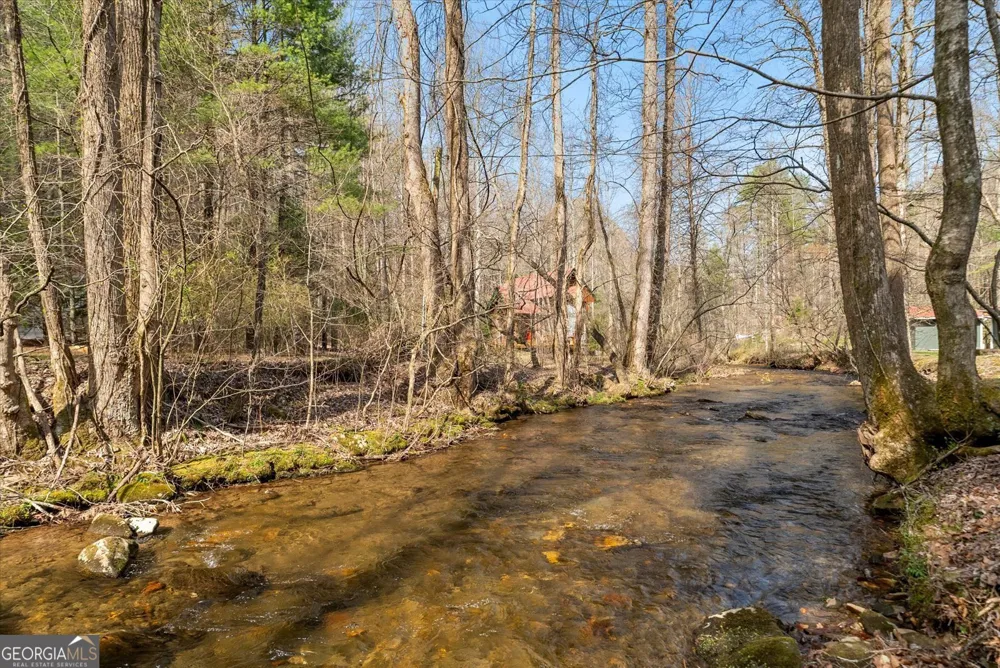 881 Fox Mountain RD Cherry Log, GA 30522