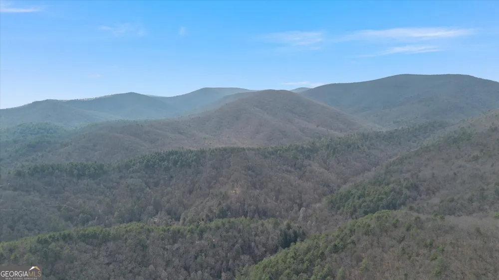 881 Fox Mountain RD Cherry Log, GA 30522