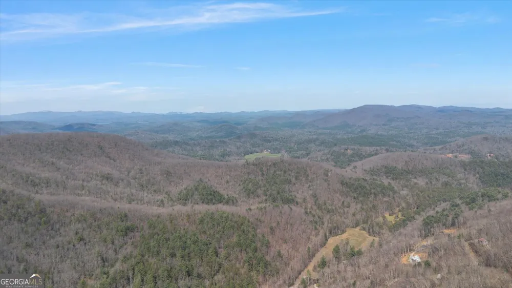 881 Fox Mountain RD Cherry Log, GA 30522