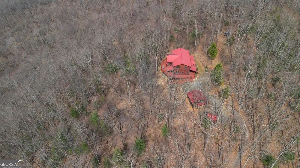 881 Fox Mountain RD Cherry Log, GA 30522