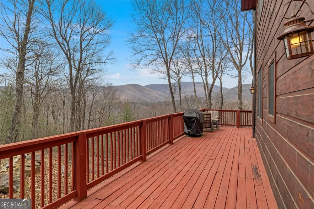 881 Fox Mountain RD Cherry Log, GA 30522