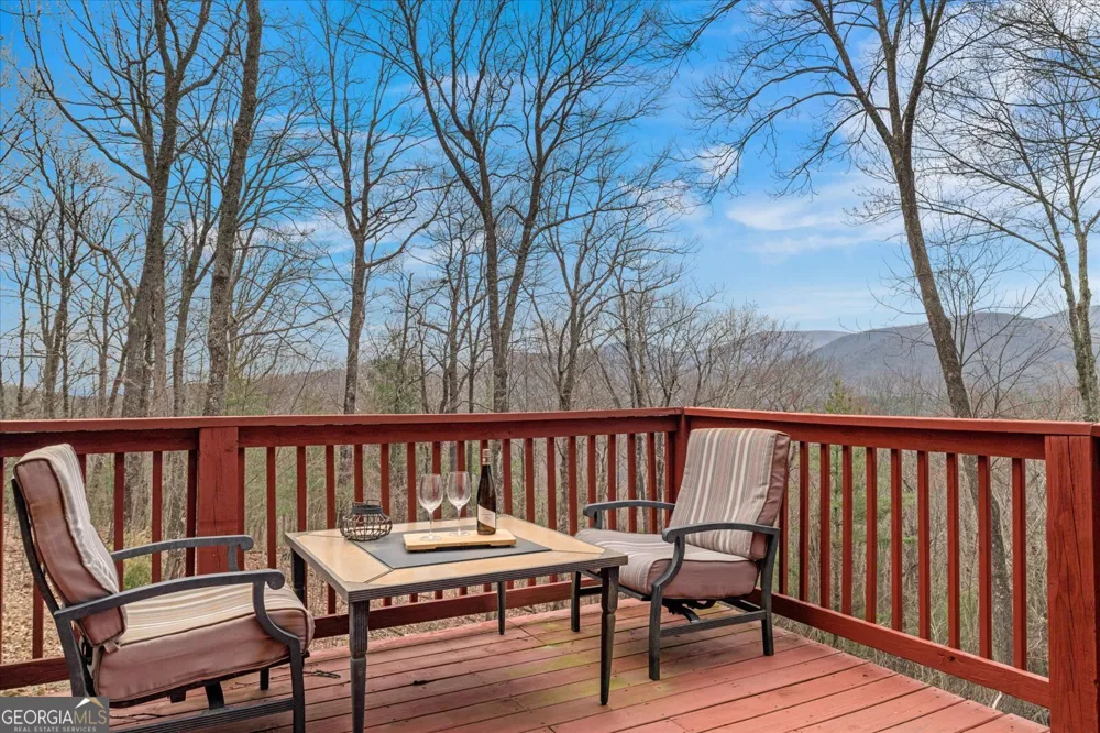 881 Fox Mountain RD Cherry Log, GA 30522