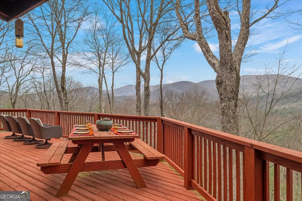 881 Fox Mountain RD Cherry Log, GA 30522