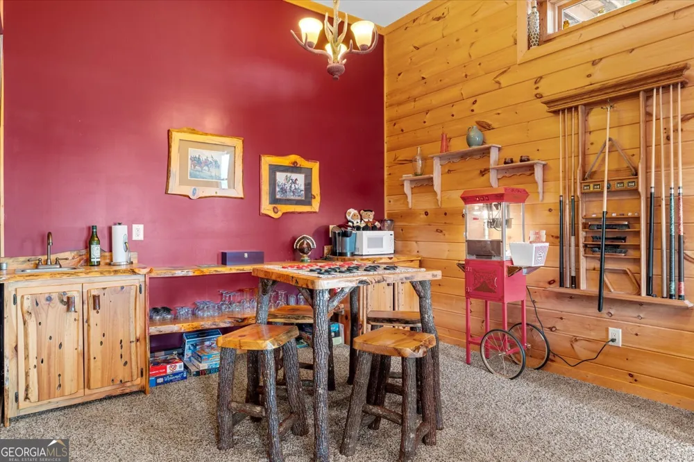 881 Fox Mountain RD Cherry Log, GA 30522