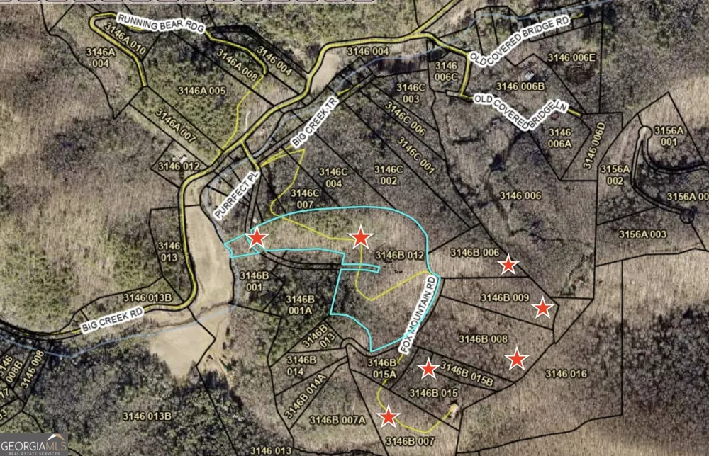 881 Fox Mountain RD Cherry Log, GA 30522