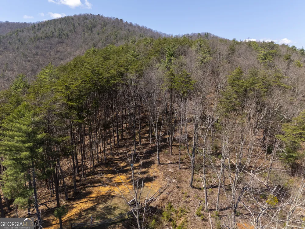 0 Bellflower PL Helen, GA 30545