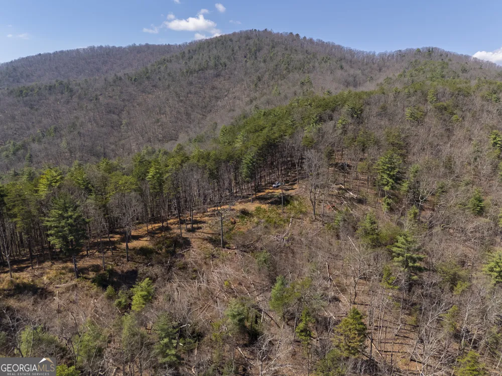 0 Bellflower PL Helen, GA 30545