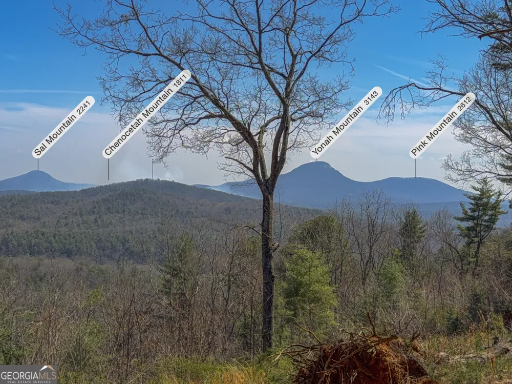 0 Bellflower PL Helen, GA 30545