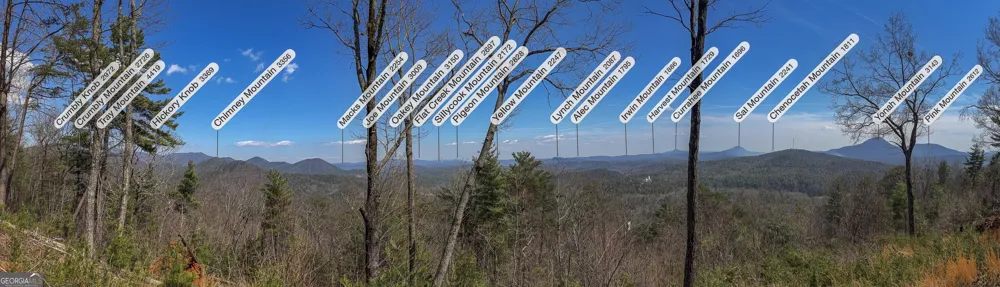 0 Bellflower PL Helen, GA 30545