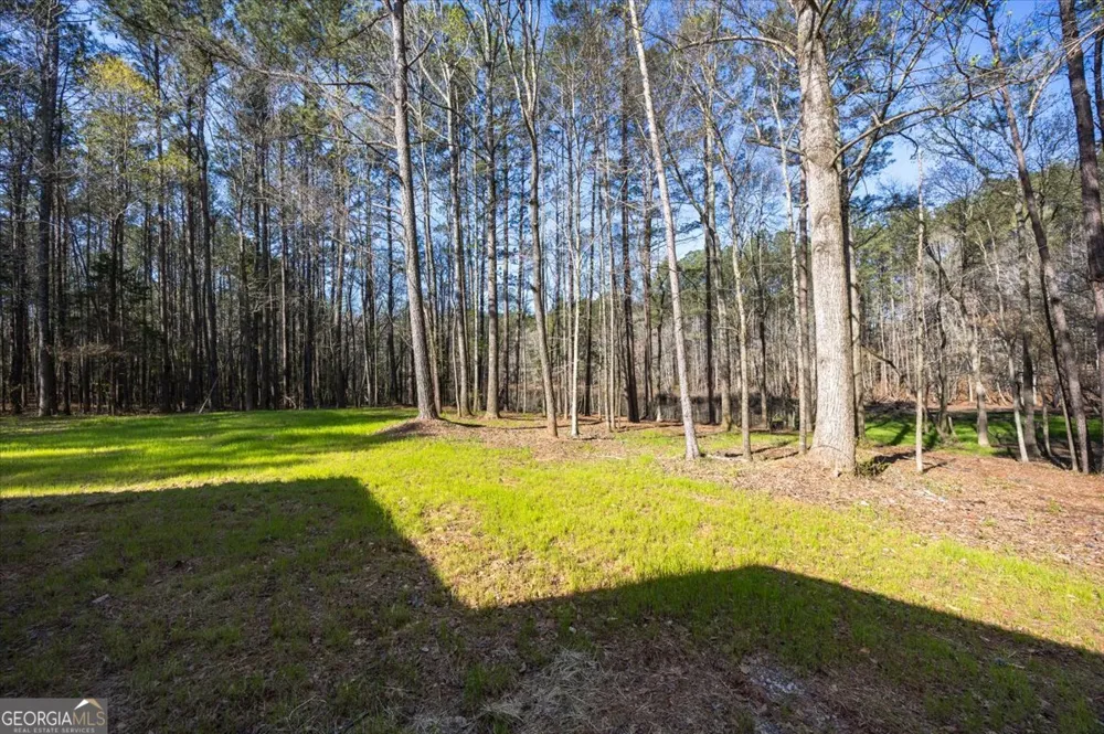 392 GA Hwy 74 Molena, GA 30258