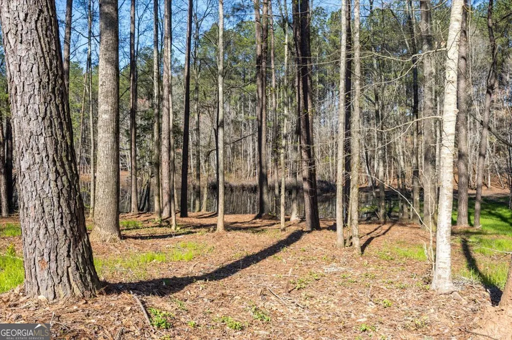 392 GA Hwy 74 Molena, GA 30258