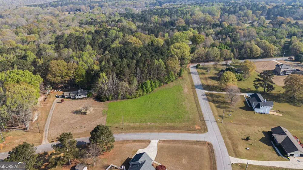 0 Bear Creek TRL Hampton, GA 30228