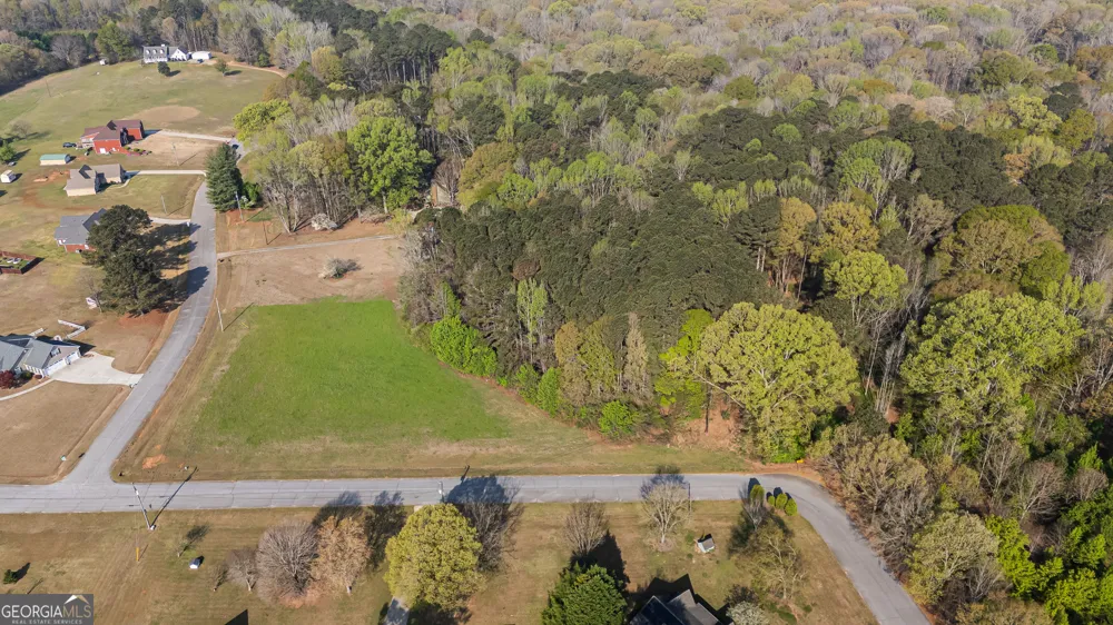 0 Bear Creek TRL Hampton, GA 30228