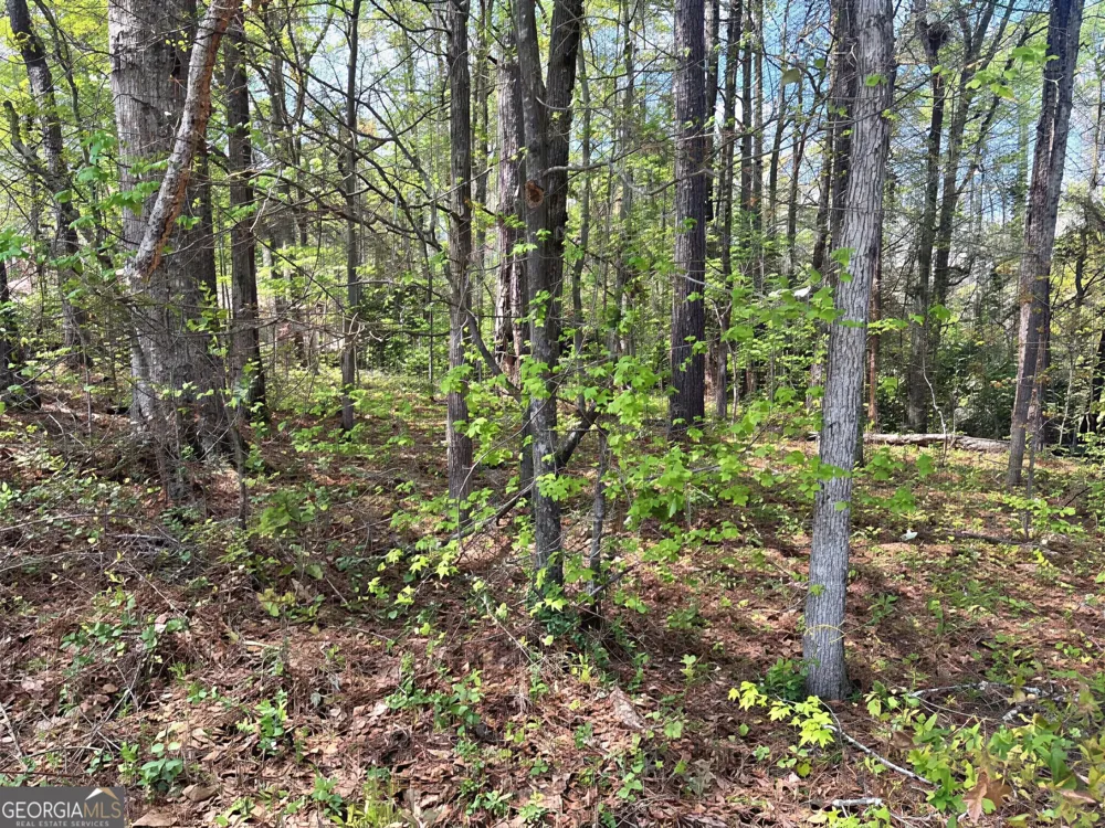 0 Olympia DR Thomaston, GA 30286