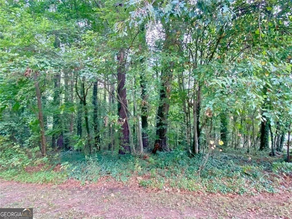 7098 Pleasant DR Austell, GA 30168