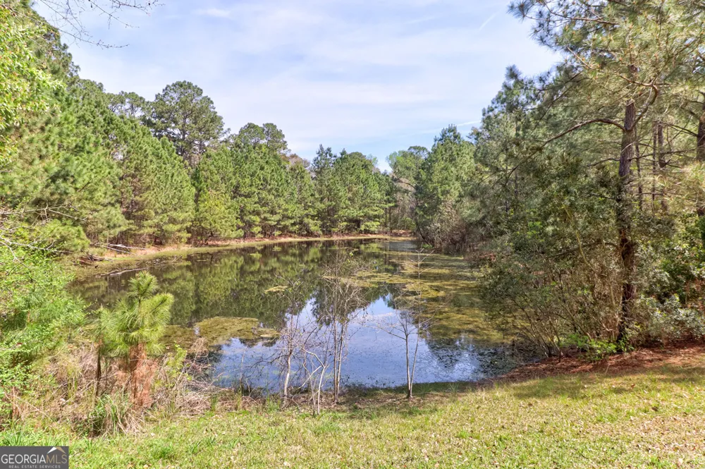 1679 Hodgeville RD Rincon, GA 31326