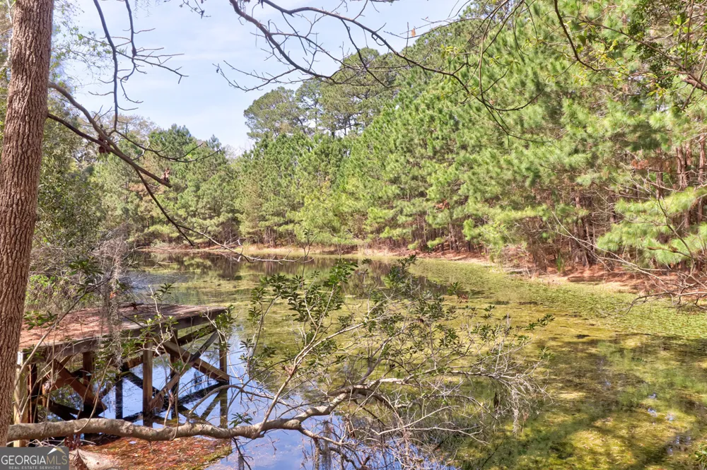1679 Hodgeville RD Rincon, GA 31326