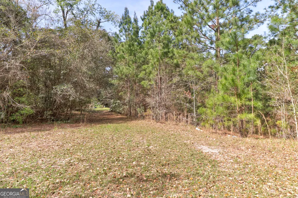 1679 Hodgeville RD Rincon, GA 31326