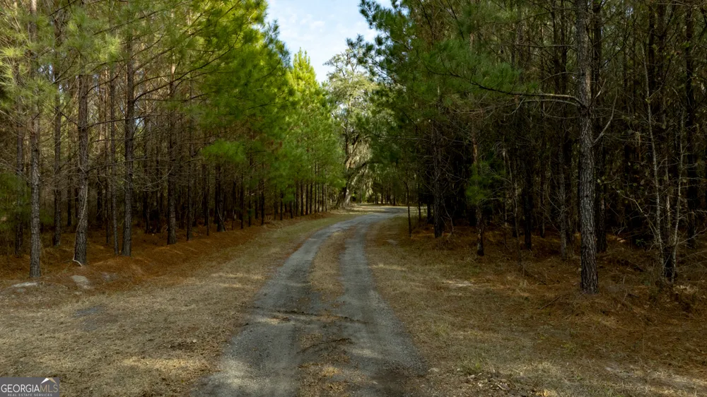 4577 N Coastal HWY Fleming, GA 31309