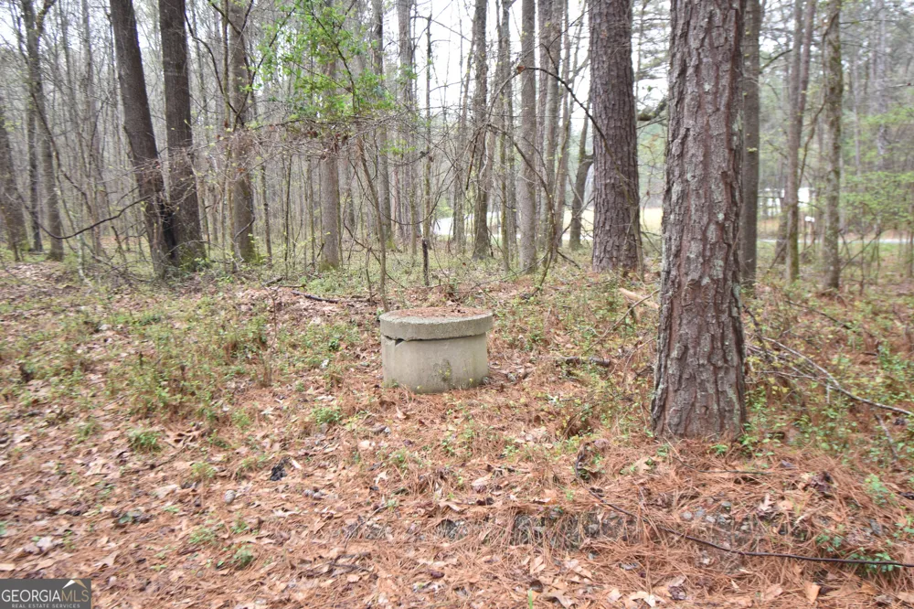 955 Cheatham RD Griffin, GA 30223