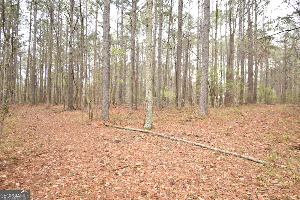 955 Cheatham RD Griffin, GA 30223