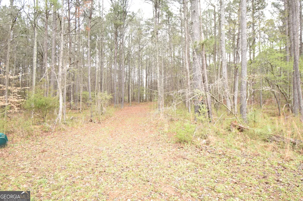 955 Cheatham RD Griffin, GA 30223