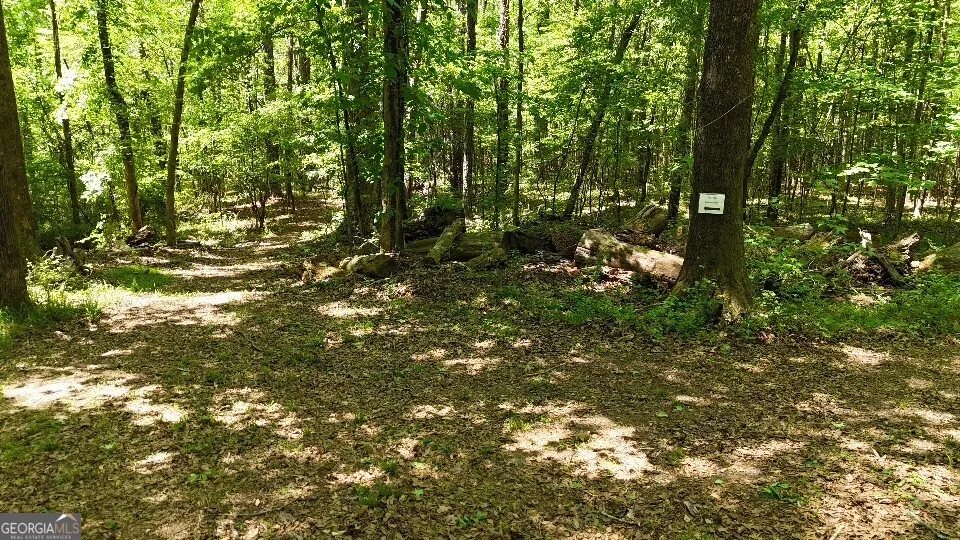 955 Cheatham RD Griffin, GA 30223