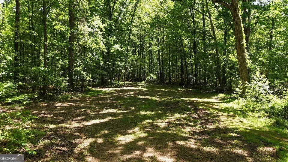 955 Cheatham RD Griffin, GA 30223