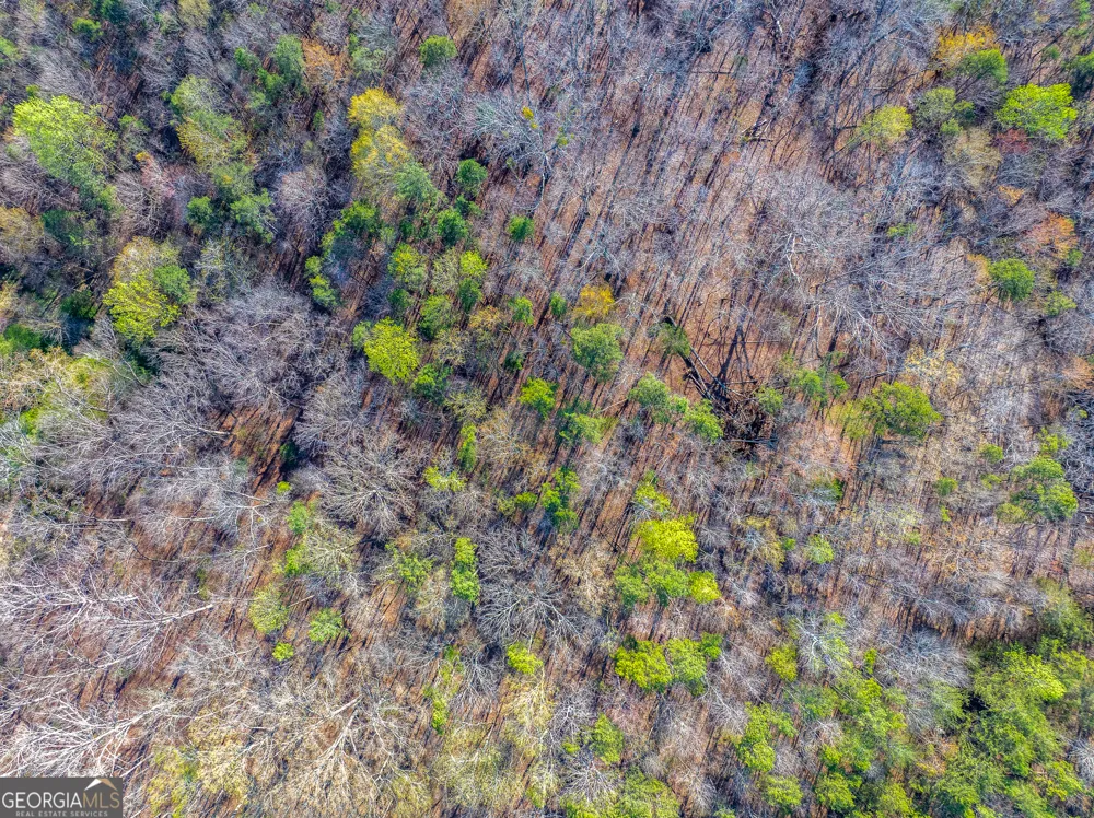 0 Sunflower DR Hartwell, GA 30643