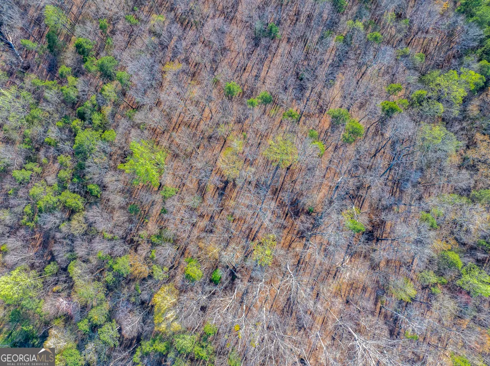 0 Sunflower DR Hartwell, GA 30643