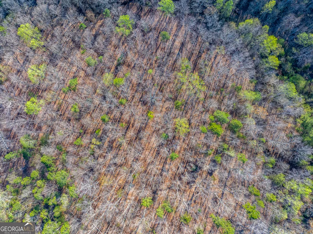 0 Sunflower DR Hartwell, GA 30643